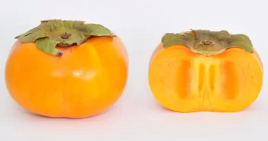 Jiro persimmon